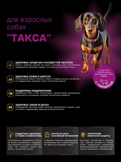 Корм сухой для взрослых собак породы Такса (стандартная), с говядиной, 12 кг, QUATTRO