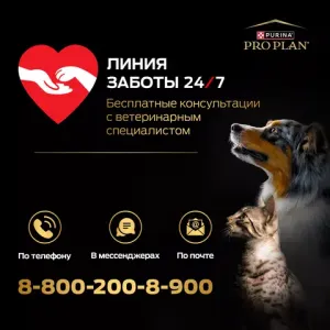 Сухой корм Pro Plan для взрослых собак крупных пород с мощным телосложением с чувствительным пищеварением, с высоким содержанием ягненка