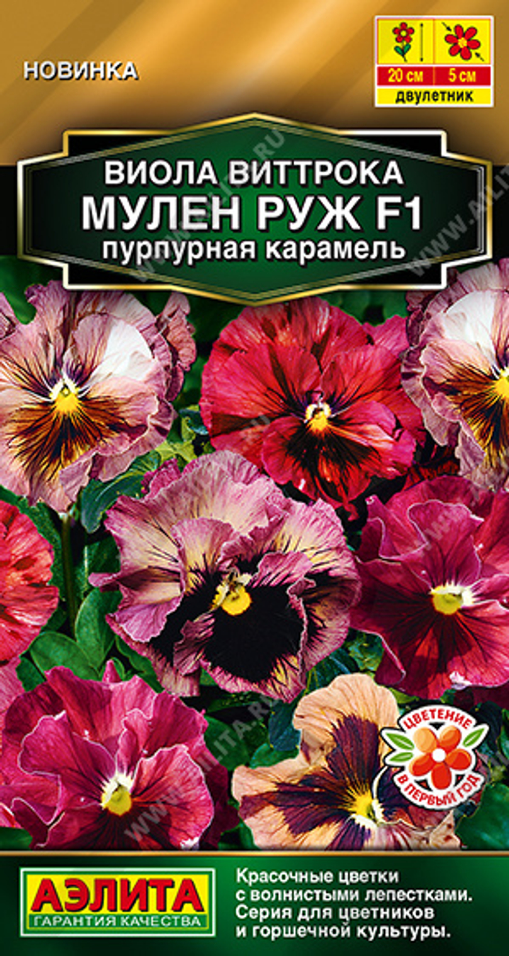 Виола Мулен Руж F1 пурпурная карамель 5 шт (Аэлита)