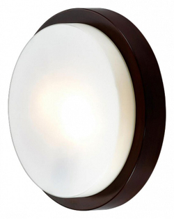 Накладной светильник Odeon Light 2744/2C