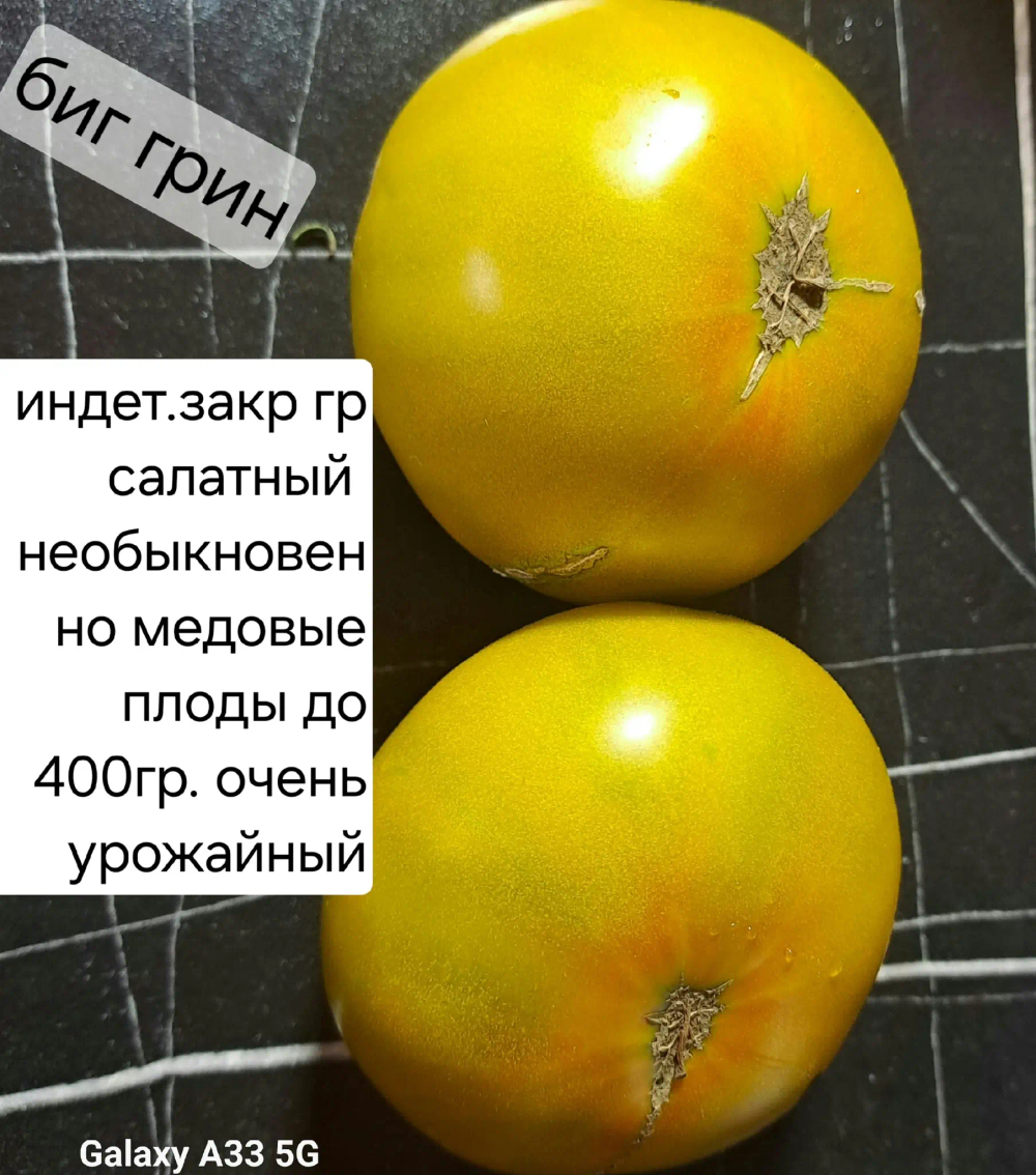 БИГ ГРИН \ ЗЕЛЕНЫЙ ГИГАНТ\