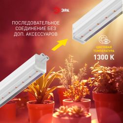 Светильник для растений фитолампа светодиодная линейная ЭРА ФИТО-18W-PFR-GR полного спектра 18 Вт GREEN LINE | Линейные фито светильники