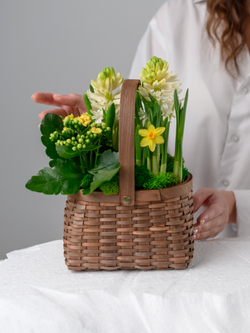 Весне дорогу!