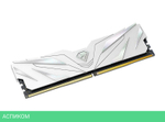 Оперативная память Netac Shadow II 16GB DDR5 White (NTSWD5P60SP-16W)