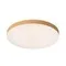 7761/50L MITRA LED SN 107 Светильник пластик/белый/под дерево LED 50Вт 3000-6500K D500 IP54 CCT GAMMA