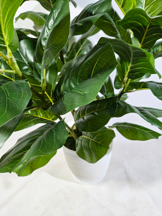 Искусственное растение Фикус Лирата зеленый в кашпо