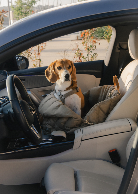 Автокресло-Пони бежевое