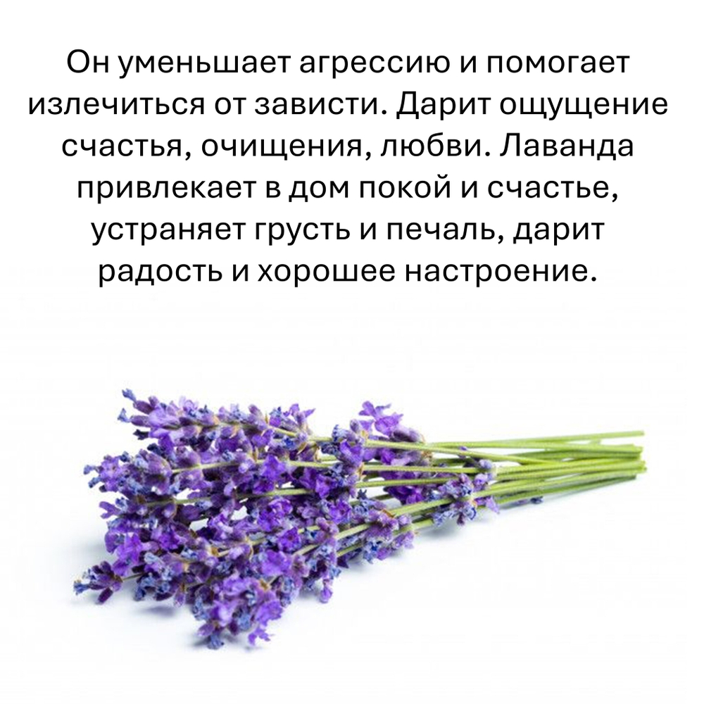 Лаванда, кубики восковые для ароматизации, 10 штук