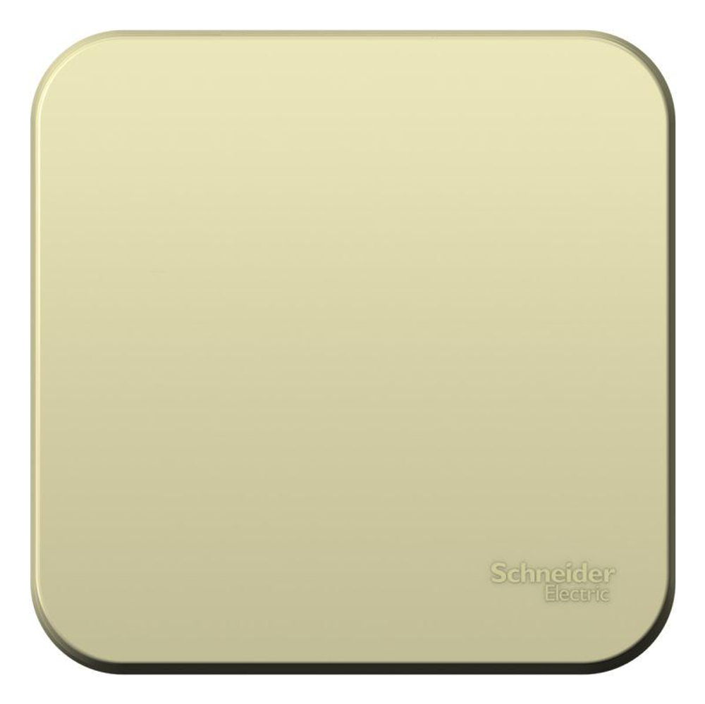 Переключатель проходной 1-кл. ОП Blanca 10А IP20 (сх. 6) 250В с изолир. пластиной беж. SE BLNVA106017