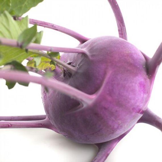 УКЗА F1 семена капусты кольраби Rijk Zwaan купить