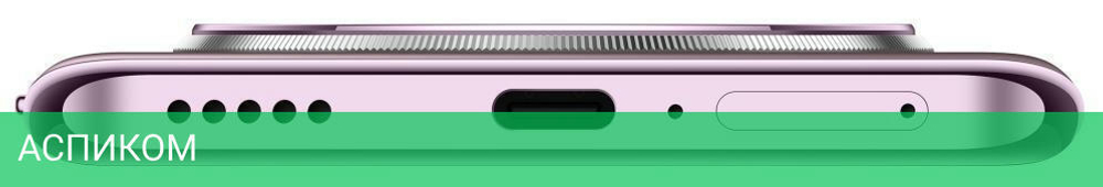 Смартфон Honor X9c 8GB/256GB Titanium Purple (BRP-NX1)