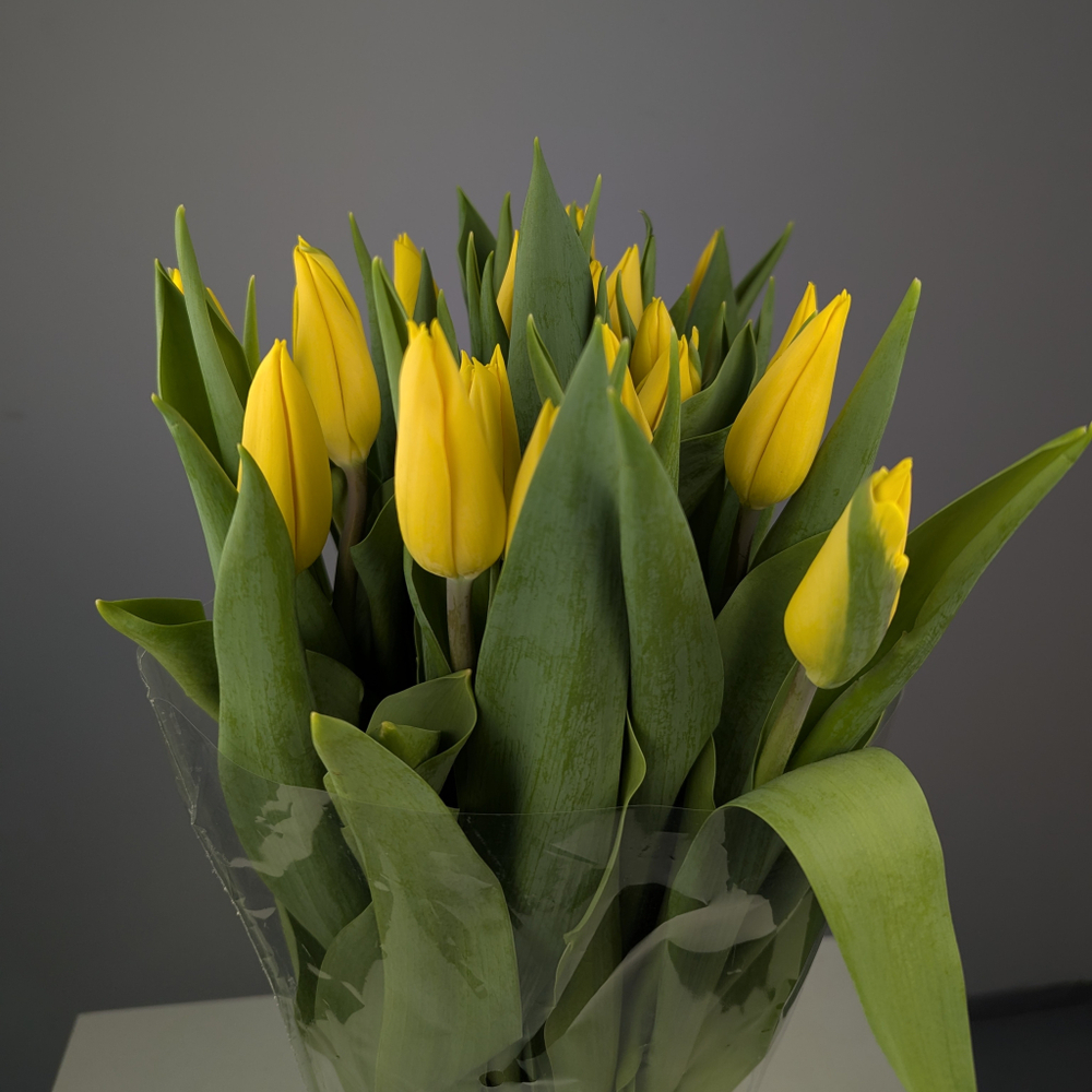 Пачка Жёлтых Тюльпанов (25 шт.)