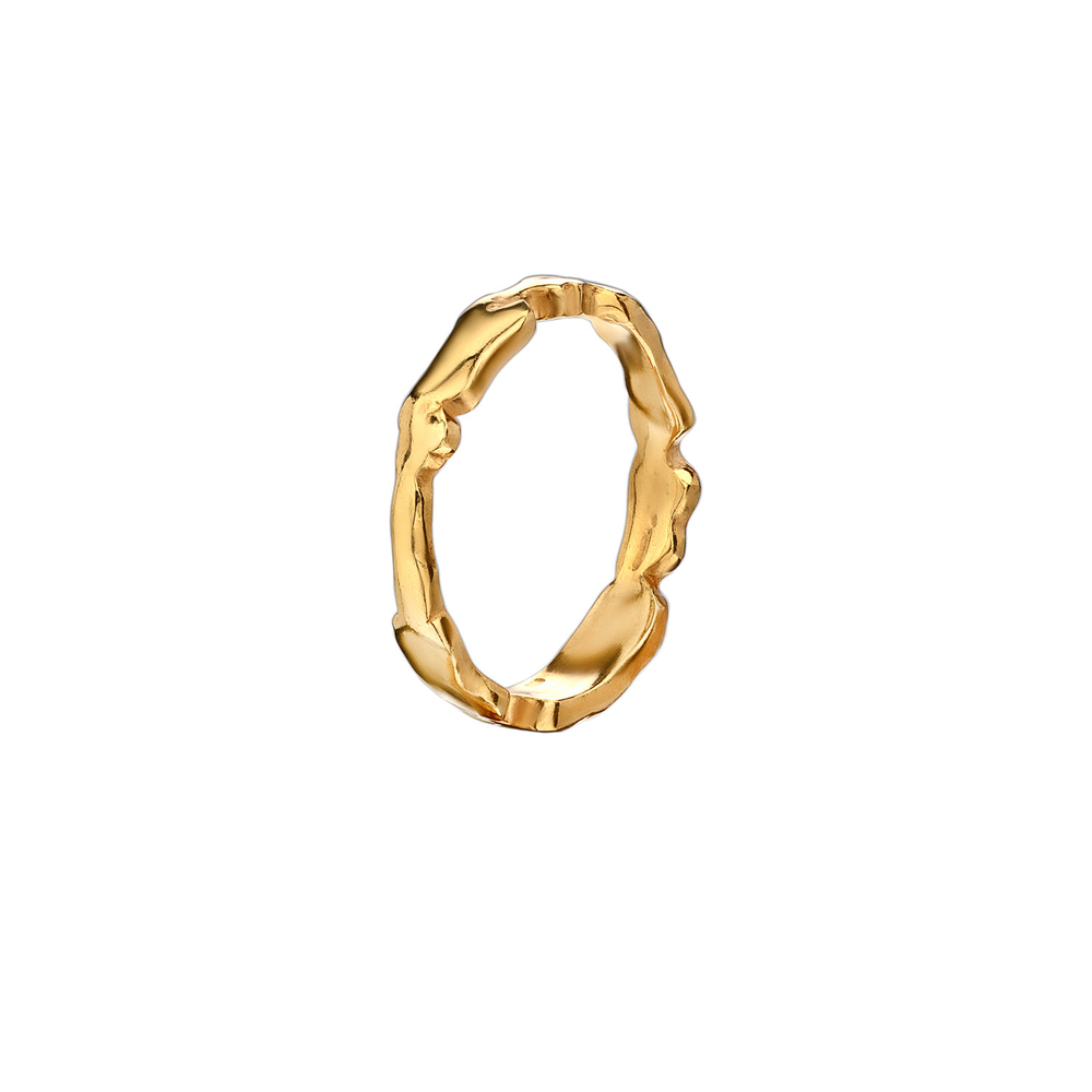 ring_artifact_golden_2_однотон