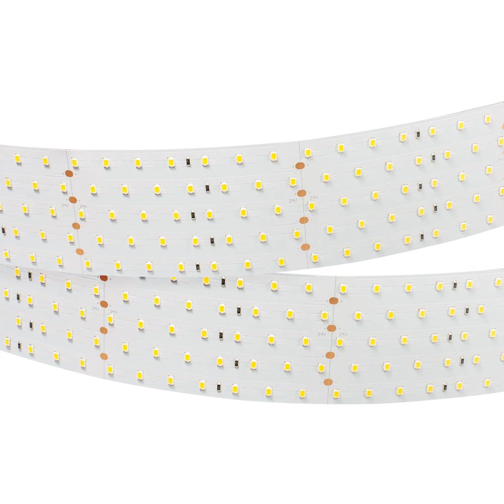 Светодиодная лента RT 2-2500 24V Cool 8K 5x2 (2835, 875 LED, LUX) (Arlight, 36 Вт/м, IP20) 019083(1)