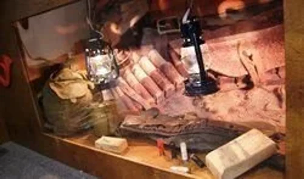 Пневматический тир «Охота»