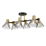 Потолочная люстра Lumion ANRIYA 8044/6C