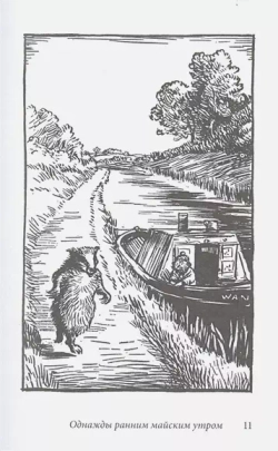 Билл Барсук и «Пираты»