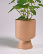 Искусственное растение Bailey в розовом керамическом кашпо 21,6 см