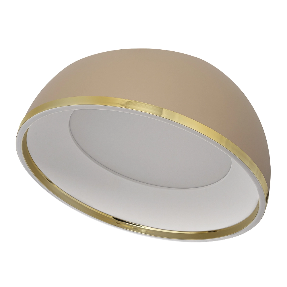 Потолочный светодиодный светильник Citilux Floom CL736152