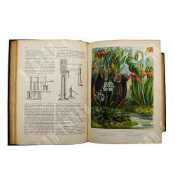 The New Popular Educator. Новый популярный педагог -. в 8 т., 1-8т. -Лондон. Cassell, Limited. 1899