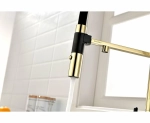 Смеситель для кухни Paulmark Gravity Gr213888-G золото