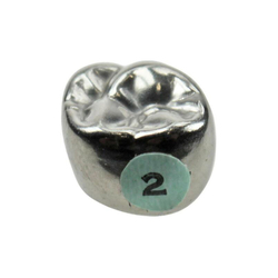 Второй верхний левый моляр, размер 2 (E-UL-2)