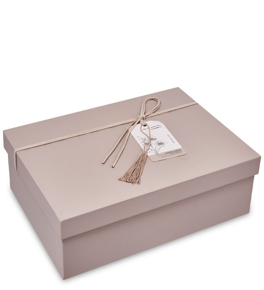 WF-178/3-A Коробка бол., какао с молоком