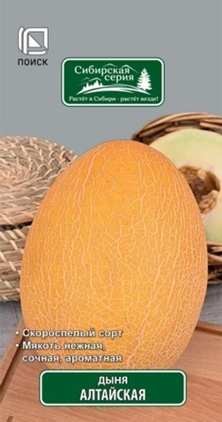 дыня Алтайская