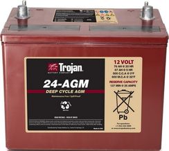 Аккумулятор Trojan 24-AGM