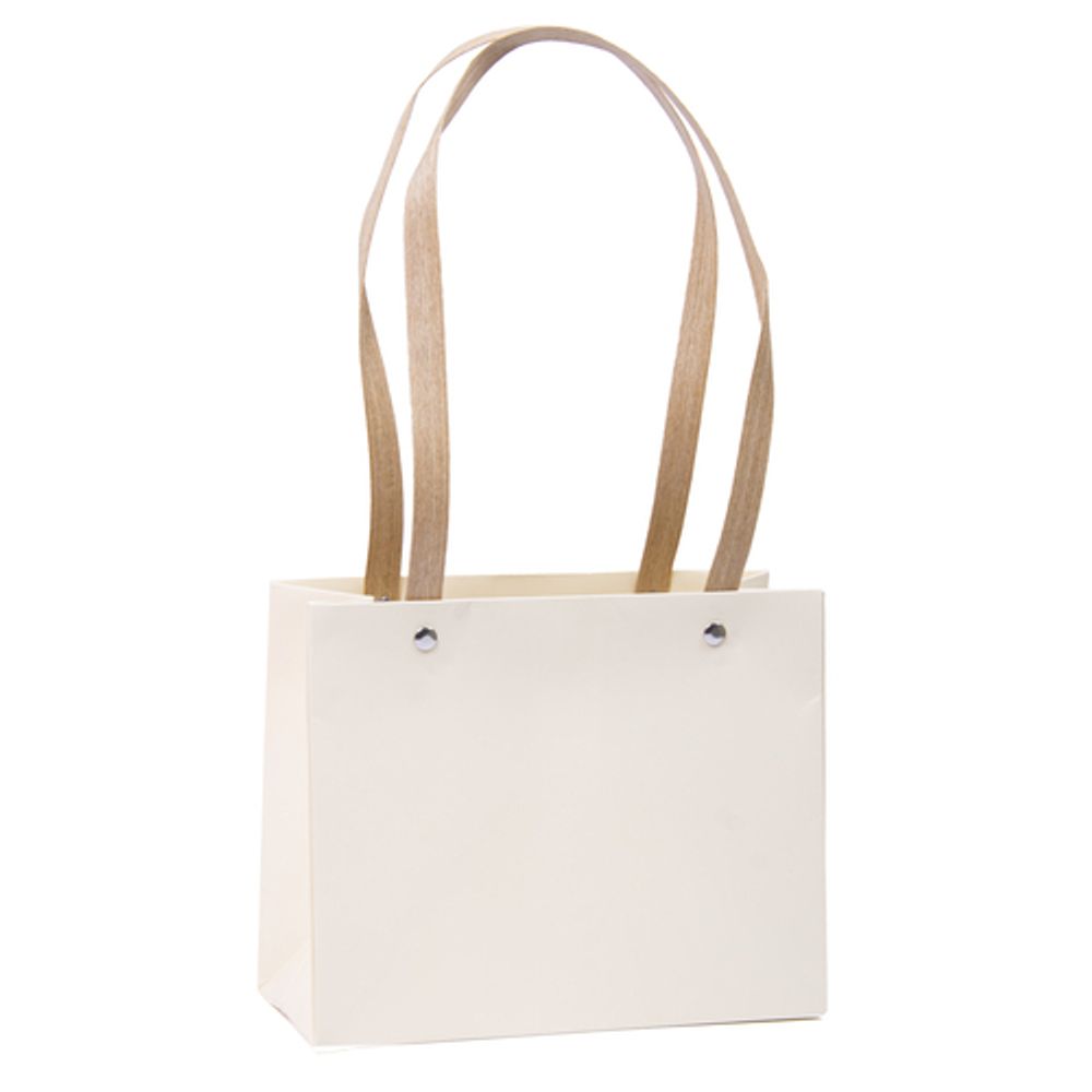 Пакет 22*18*10 с крафтовыми ручками КРЕМ