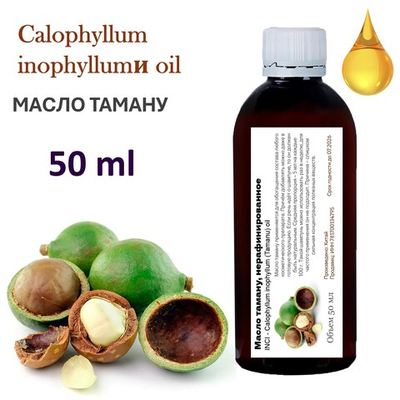 Масло таману / Calophyllum inophyllumи oil