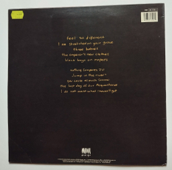 Винтажная виниловая пластинка LP Sinead OConnor I Do Not Want What I Havent Got (Spain 1991)