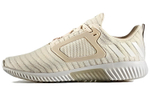 Кроссовки Adidas Climacool