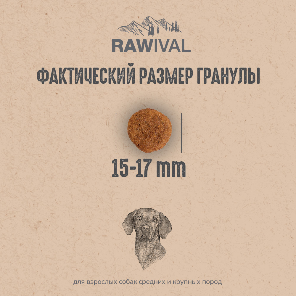 Сухой корм RAWIVAL для собак средних и крупных пород с ягненком и перепелом - 0,75 кг