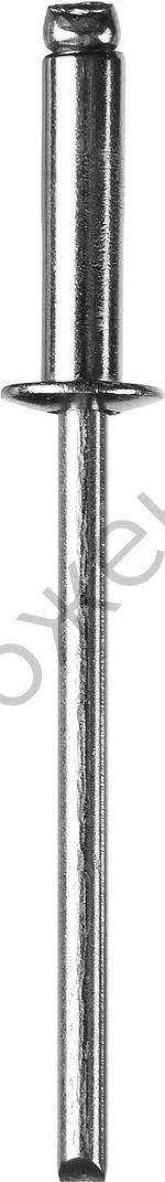 ЗУБР 4.8 х 10 мм, нержавеющие заклепки, 50 шт, Профессионал (313166-48-10)