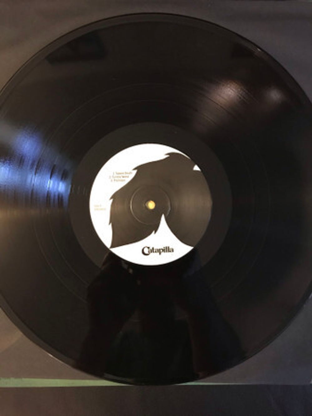 Catapilla / Catapilla (LP)