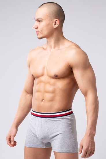 Мужские трусы R-124 Серый