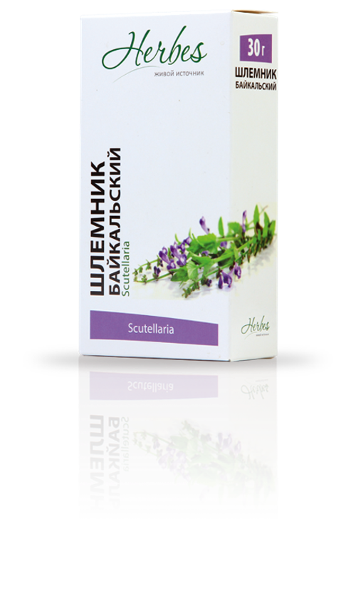 Шлемник байкальский (корень) ф/п №20