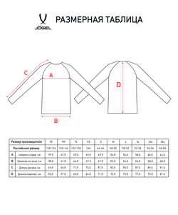 Джемпер тренировочный DIVISION PerFormDRY Pro Training Top, синий