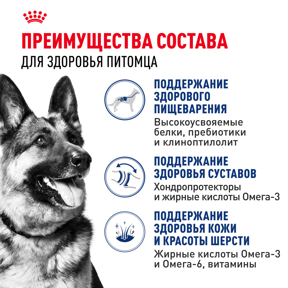 Royal Canin Maxi Adult Корм сухой для взрослых собак крупных размеров от 15 месяцев до 5 лет 3 кг