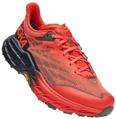 Кроссовки мужские Hoka Speedgoat 5 GTX