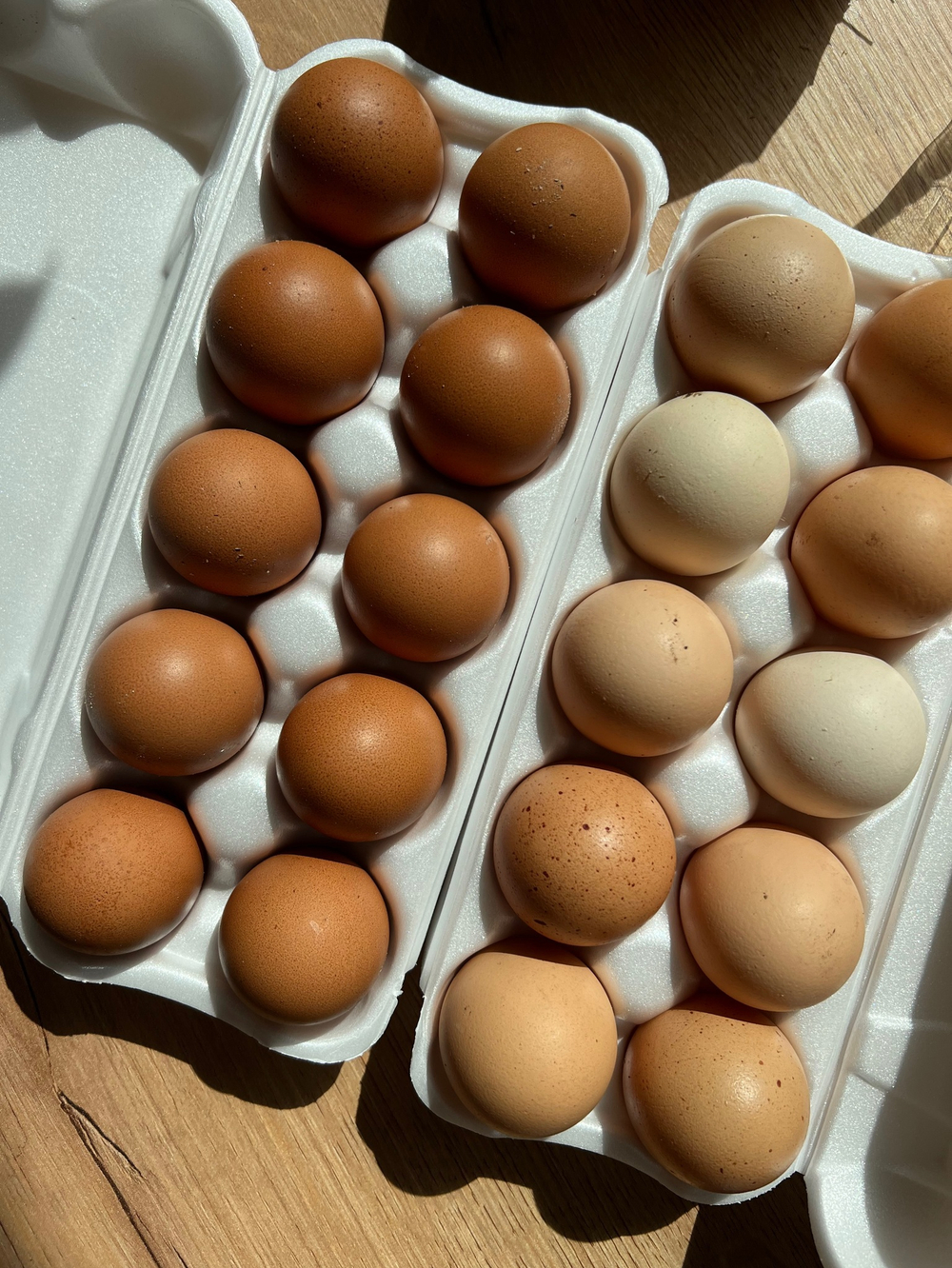 Яйцо куриное деревенское,10 шт