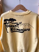 Новая хлопковая толстовка Mini Rodini, 122