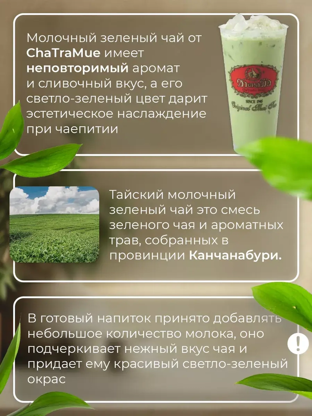 Тайский изумрудный чай