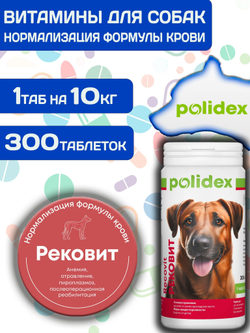 Polidex Recovit для собак, Кормовая добавка для восстановления организма после операций, травм, больших потерь крови, Полидекс Рековит, 150 таб
