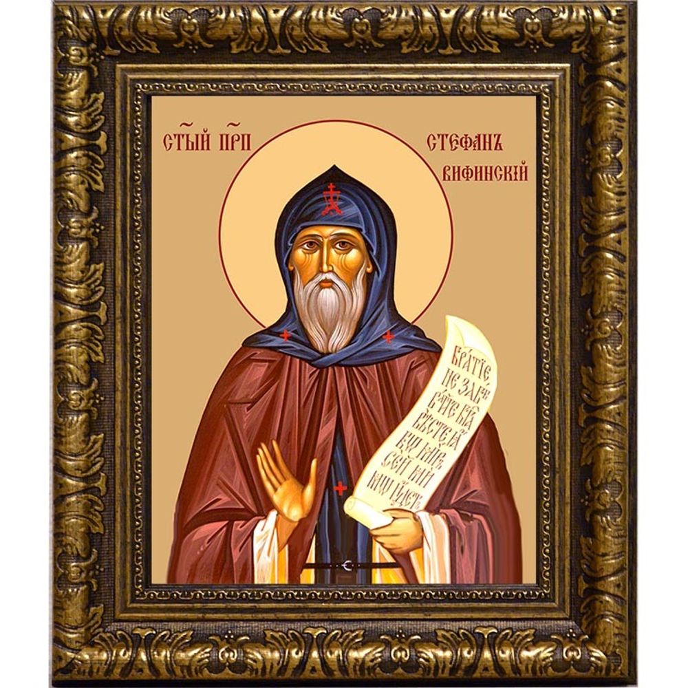 Стефан Вифинский (Халкидонский) Преподобный. Икона на холсте.