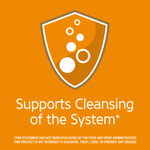 21st Century, травяной чай для похудения, апельсин и специи, без кофеина, 24 чайных пакетика, 48 г (1,7 унции)