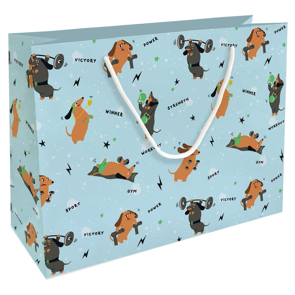 Пакет подар. бумажн. 36*29*12 см, 200гр/м2 Hobby. Голубой