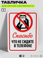 Табличка для частной территории "Спасибо, что не сидите в телефоне", на дом, для участка, организаций и частных территорий, предупреждающая, 40х30 см, Silver Plane x Айдентика Технолоджи