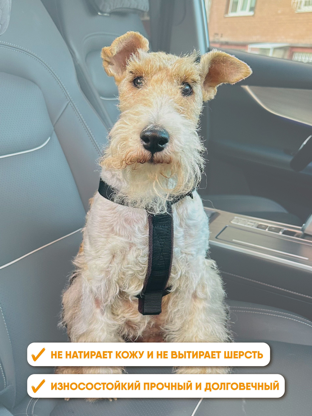 Автомобильная шлейка с ремнем безопасности, Монморанси,черный, M